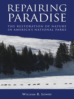 cover image of Repairing Paradise